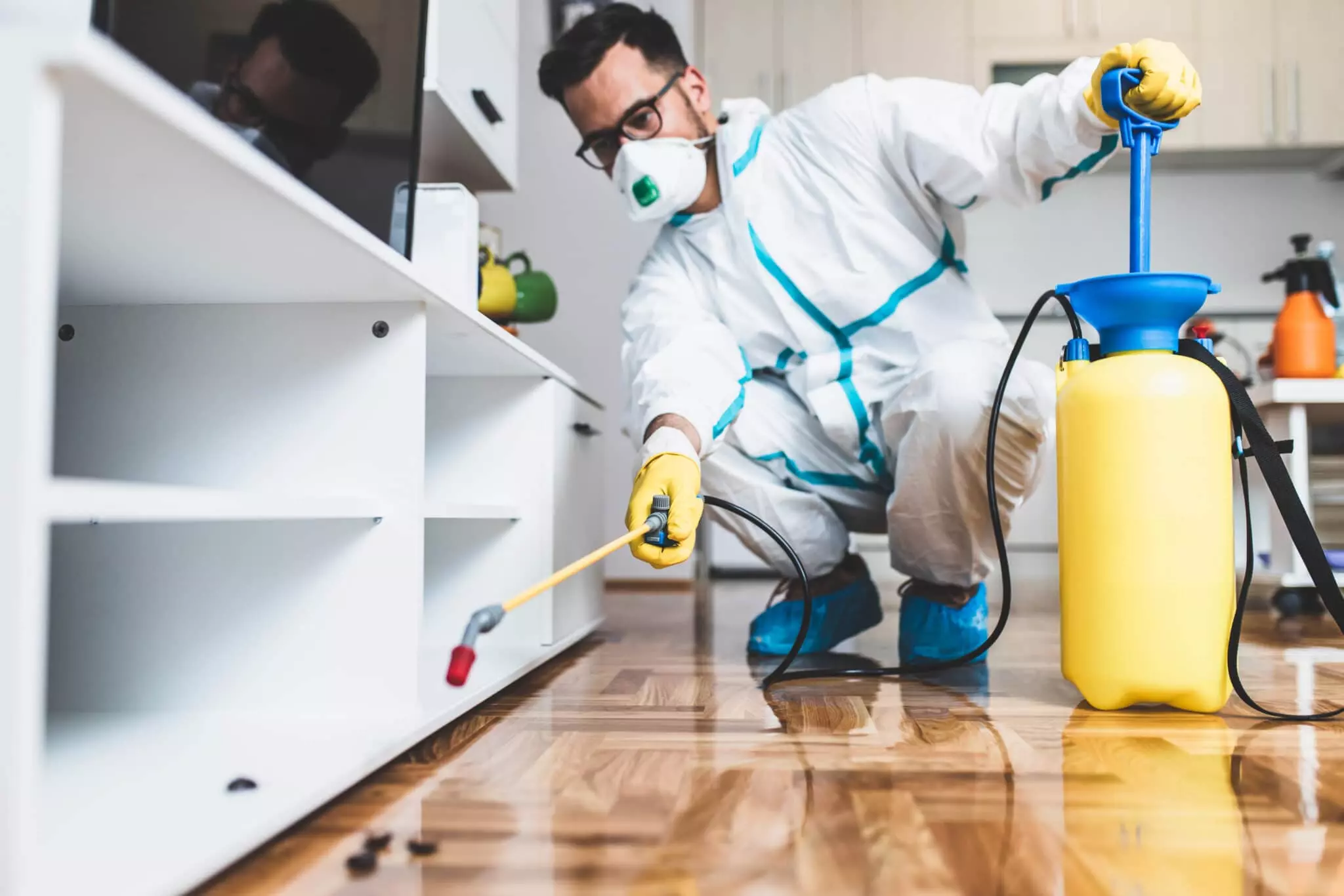 pest extermination services